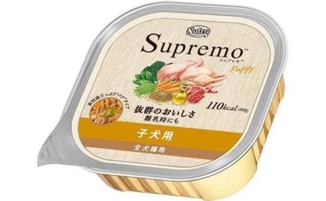 シュプレモ評価：包括的なレビュー