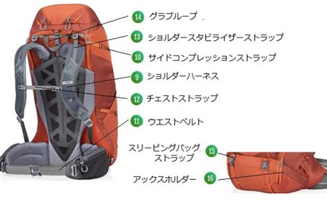 ショルダーハーネスとは：