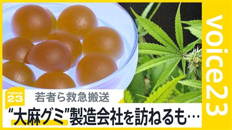 シリコンボールとは何か？