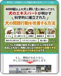 シリコン球で愛犬のしつけ革命！その活用法を徹底解説