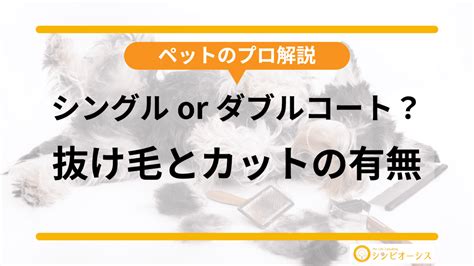 シングルコート犬種：メリット、デメリット、人気の犬種