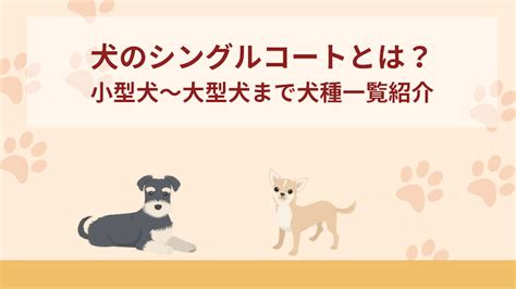 シングルコート犬：お手入れと管理の包括ガイド