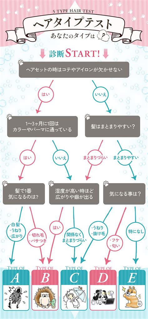 シーズーのシャンプー選びで悩んでいる方必見！おすすめシャンプー徹底解説