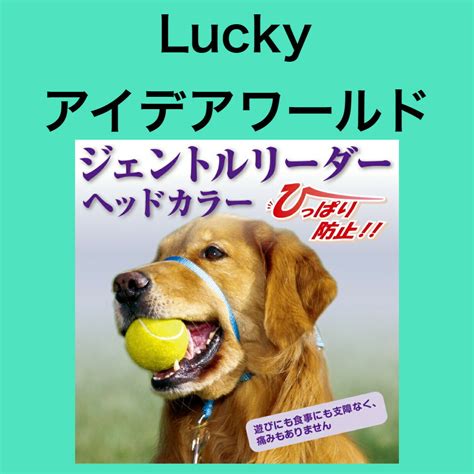 ジェントルリーダーの効果：犬と人間とのより良い関係のために