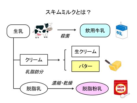 スキムミルク：犬にメリットはあるのか？