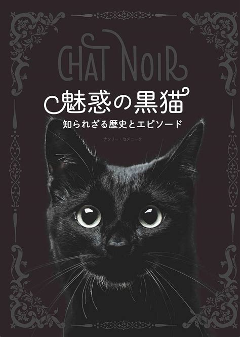 スコティッシュ黒の魅惑：知られざる黒猫の魅力を解き明かす