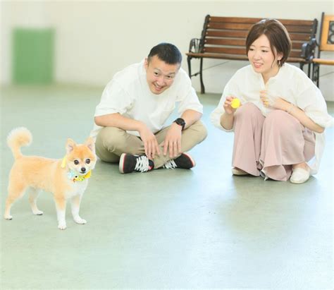 スタジオドッグランで愛犬を思いっきり遊ばせよう！