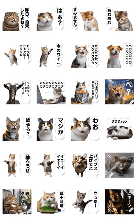 スタンプ猫とは