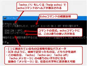 ステップ 1: 基礎的なコマンドの訓練