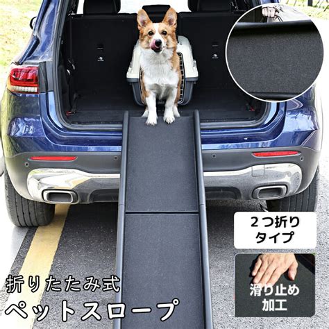 スロープ犬の驚くべき世界