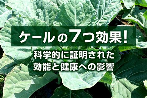 スーパー リード: 科学的に証明された健康メリットと効果的な使用法