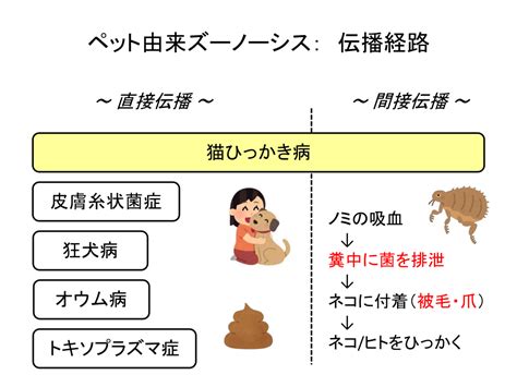 ズーノーシス：症状から予防まで、知っておくべきすべて