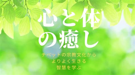 セラピーの驚異的な効果: 心と体の健康を向上させる力