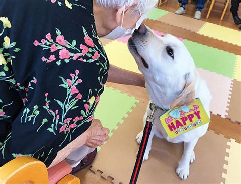 セラピー犬の効果