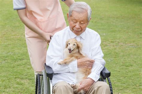 セラピー犬の効果：ペットがもたらす心身の健康への恩恵