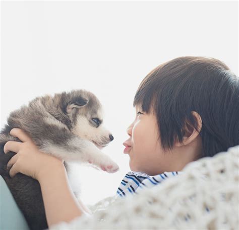 セラピー犬の効果：心身を癒すかけがえのない存在