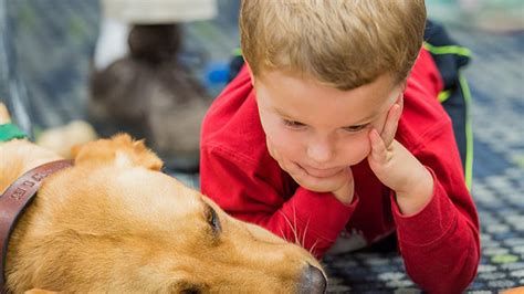 セラピー犬の効果：心身を癒す相棒