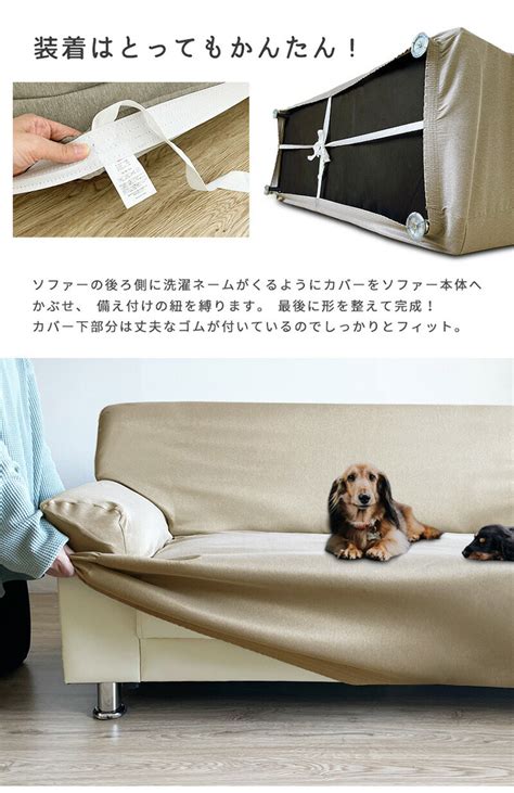 ソファーカバー犬対策