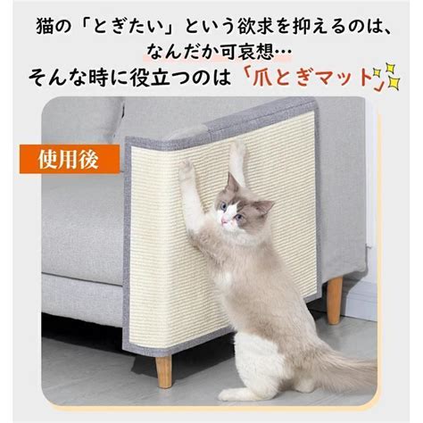 ソファー 猫 爪 とぎ: 愛猫の爪とぎ習慣を解決する徹底ガイド