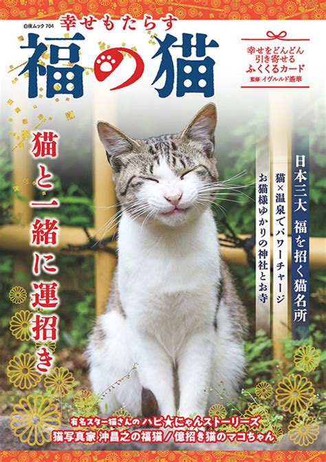 タオルがもたらす猫の至福：幸せと健康への扉