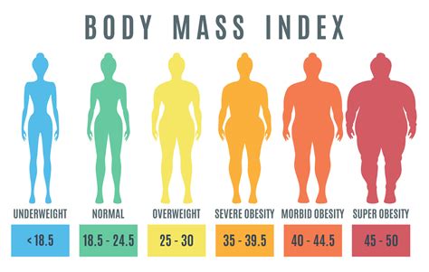 ダイエット適正: 健康的な体重管理のガイド