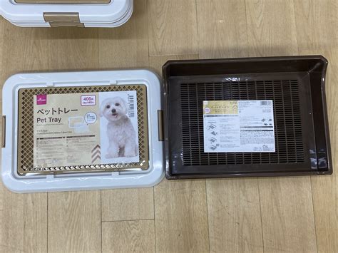 ダイソーでまたたびが買えるって本当！？ペットも飼い主も必見の絶品おやつ事情