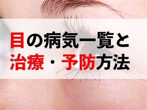 ダックスフントの目の病気〜種類、症状、治療法のすべて〜