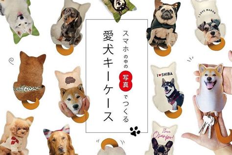 ダックスフントグッズで愛犬の毎日をより豊かに！