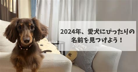 ダックスフンドの名前：愛犬にぴったりの選び方