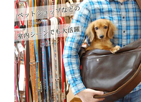 ダックス キャリー バッグ: あなたの愛犬との快適な旅に欠かせないアイテム