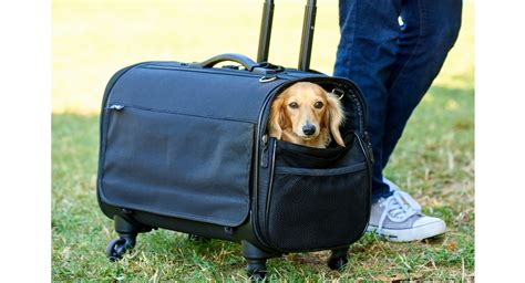 ダックス キャリー バッグで愛犬と快適なお出かけを