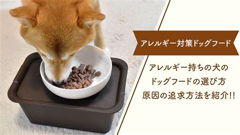 ダックス フード：あなたの愛犬の健康と幸福のための究極のガイド