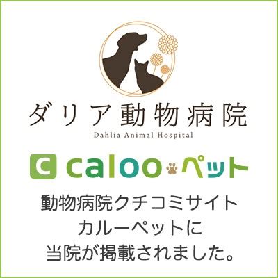 ダリア動物病院がペットの健康と幸福を守るための包括的なガイド