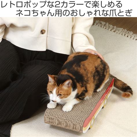 ダンボール爪とぎで愛猫の爪を健康に！