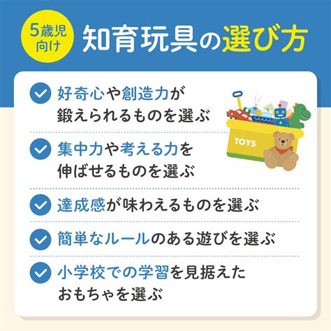 チップ おもちゃの選び方と活用術