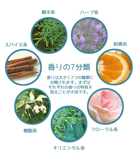 チャイの花：その香り、効能、そして育て方