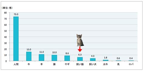 チワワとトラ猫の調和的な飼養に関する統計