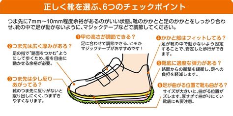 チワワにぴったりの靴の選び方：サイズ、素材、利点