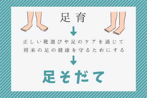 チワワの靴選びの徹底ガイド：足を守る快適さと安全性を確保する