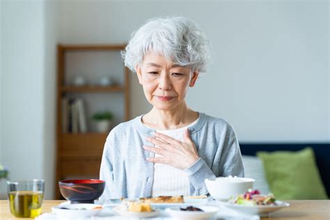 チワワの食欲不振：原因と対策