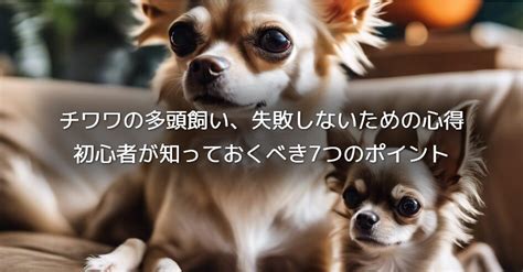 チワワは飼いやすい？知っておくべきポイントと飼い方完全ガイド