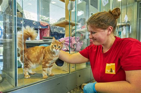 ティア ハイム 動物 病院：あなたのペットの親密なケア