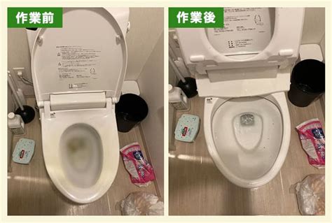 ティッシュ トイレに流す：正解と間違い