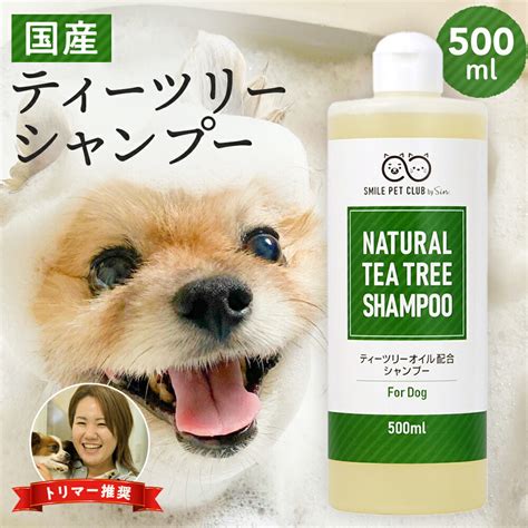 ティーツリーオイルと犬の健康に関する包括ガイド