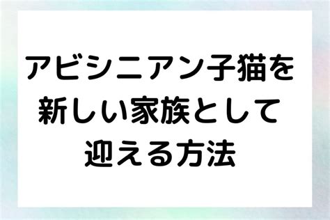 デイジーの飼い方完全ガイド: 子猫から老猫まで