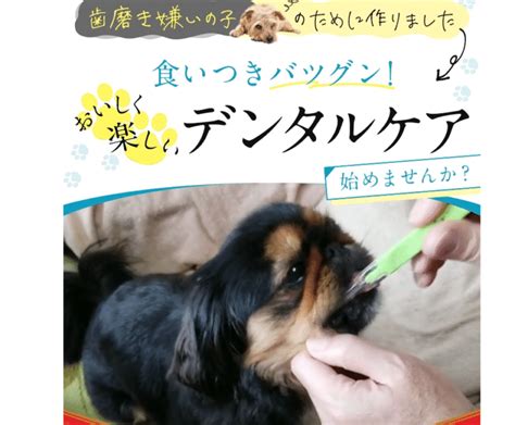 デンタルケア犬: ワンちゃんの健康と笑顔のために