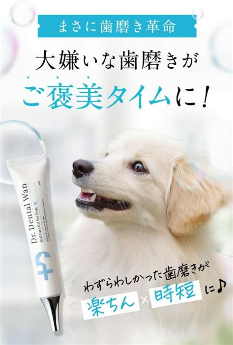 デンタルジェルで愛犬のお口の健康を守ろう！