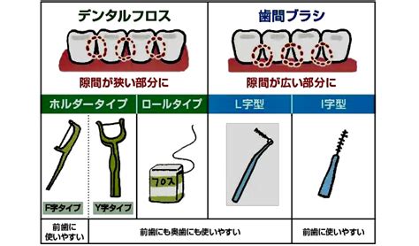 デンタルペーストの賢い選び方と正しい使い方で、輝く白い歯と健康な口腔内へ！