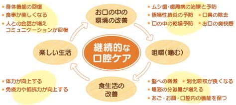 デンタルワン：健康的な口腔環境のための包括的なガイド