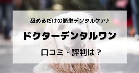 デンタルワン 口コミ徹底ガイド：治療内容・料金・評判を徹底調査